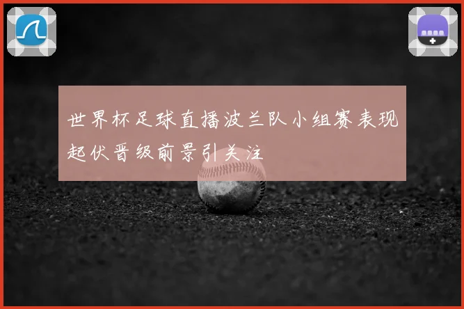 世界杯足球直播波兰队小组赛表现起伏晋级前景引关注