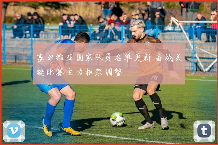 塞尔维亚国家队员名单更新 备战关键比赛主力框架调整