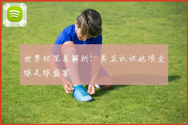 世界杯深度解析：真正认识这项全球足球盛宴