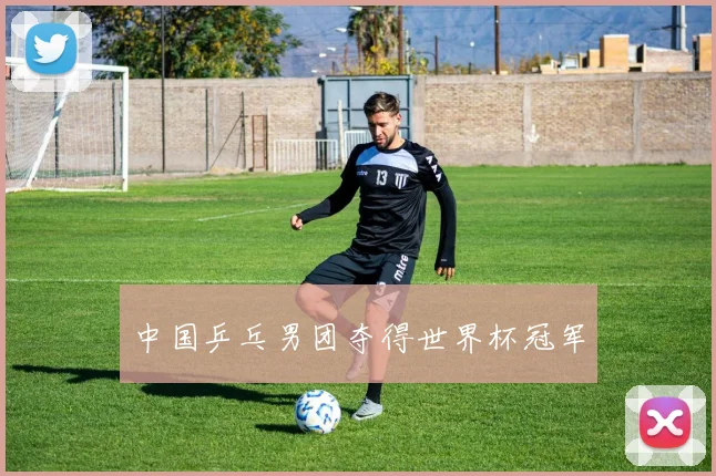 中国乒乓男团夺得世界杯冠军