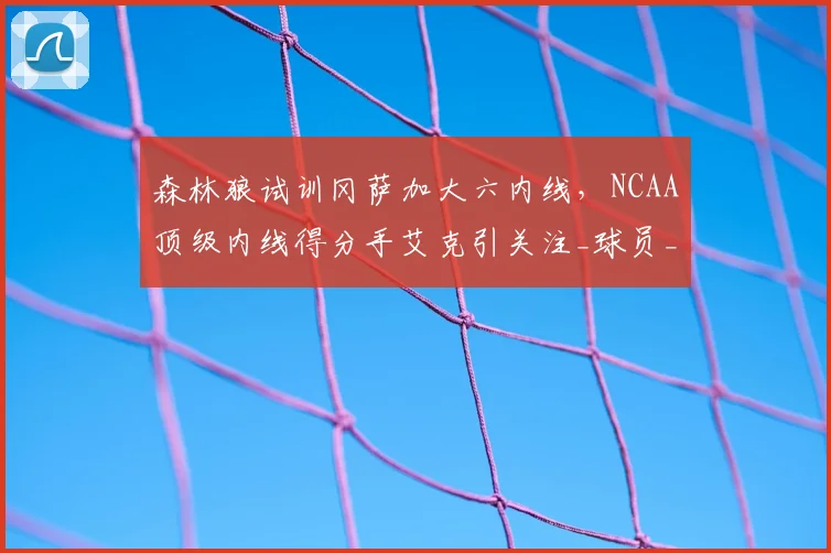森林狼试训冈萨加大六内线，NCAA顶级内线得分手艾克引关注_球员_大学_防守